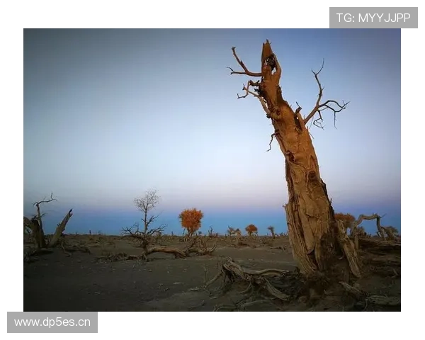 维罗纳雷焦危局中誓战到底不屈